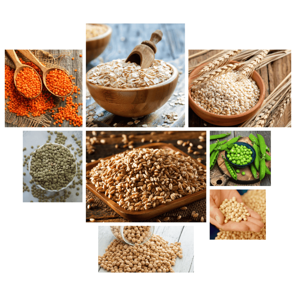 Agricultural Products Cereals and Grains TradeNest Solutions