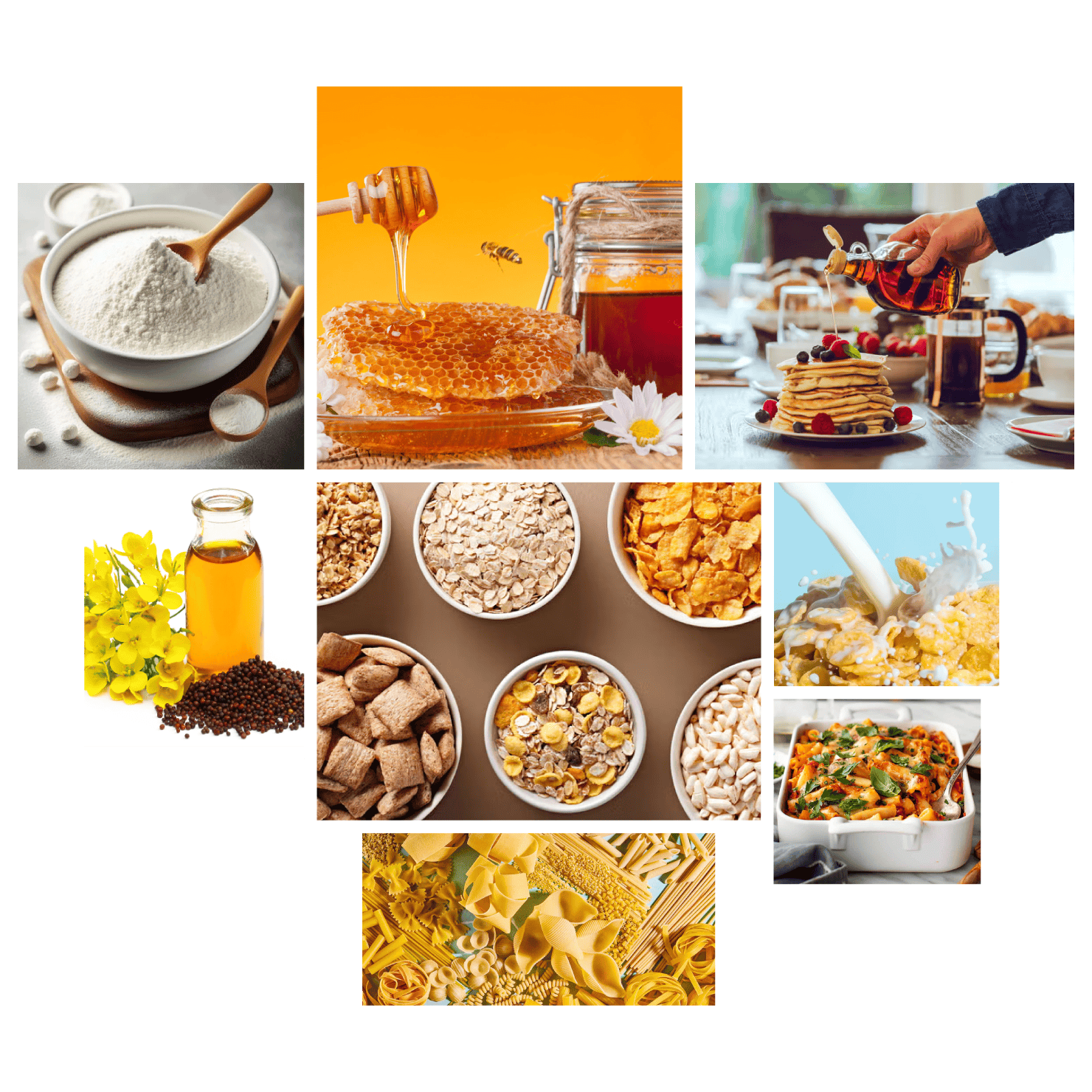 TradeNest-Solutions-Export-Quality-Read-Food